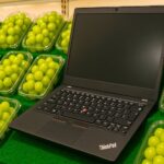 果物売り場の棚に、透明パックに入ったシャインマスカットがいくつも並んでいる。棚は緑のシートで覆われている。その中に黒いThinkPadのノートパソコンが自然に置かれていてる